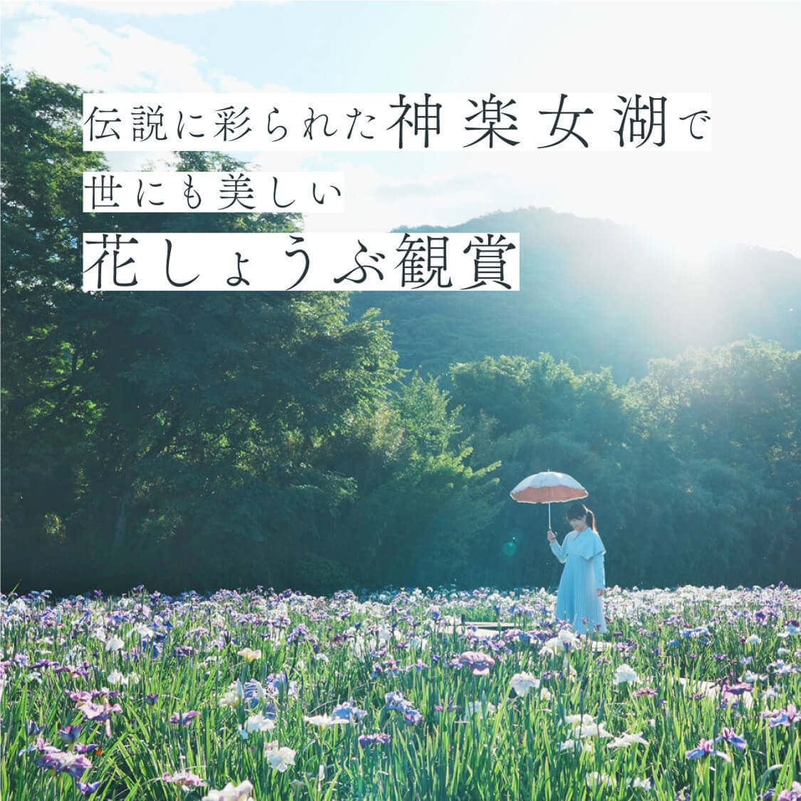 伝説に彩られた神楽女湖で世にも美しい花しょうぶ観賞