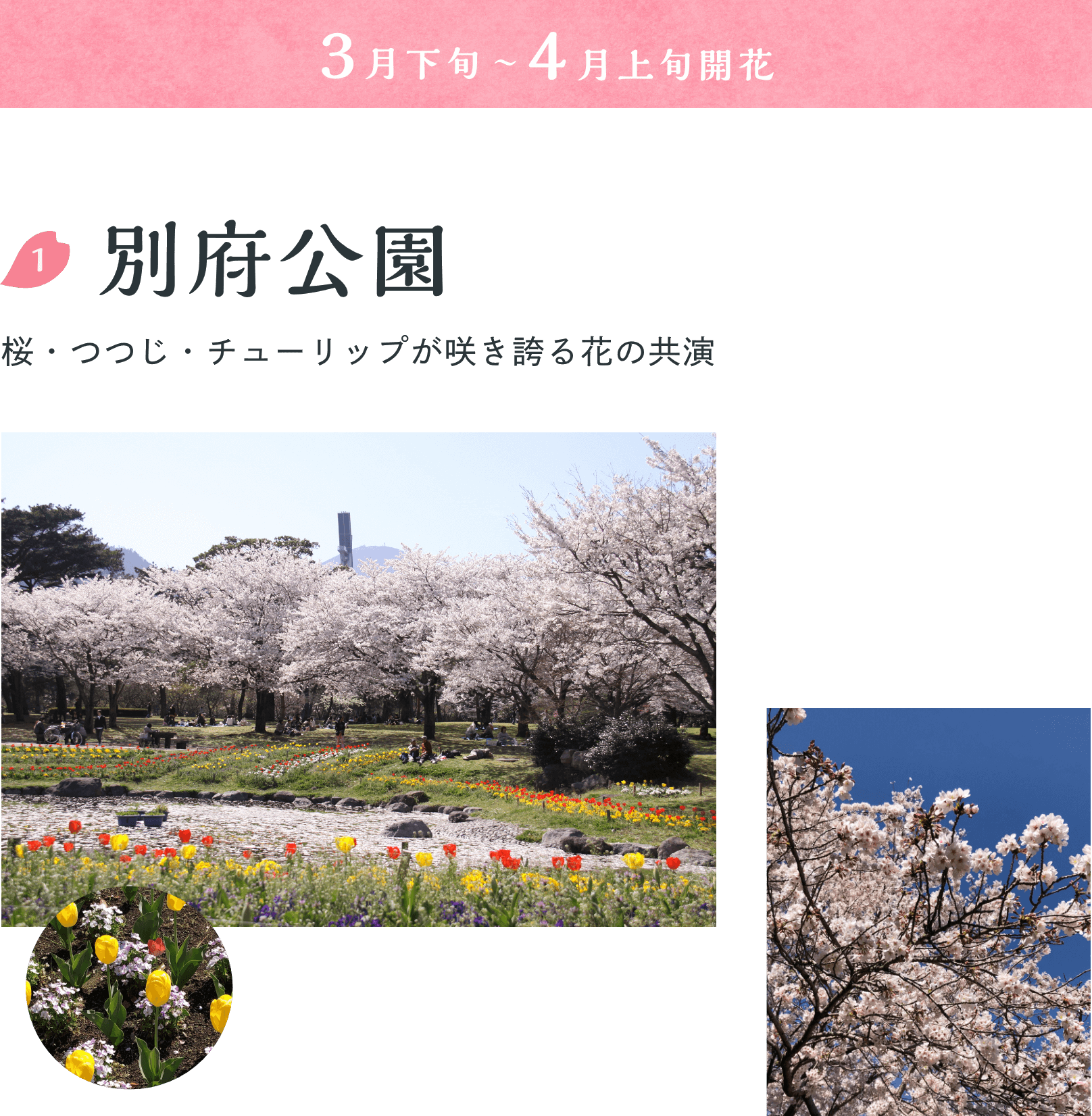 別府公園
