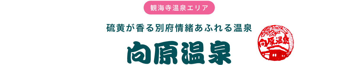 観海寺温泉エリア 硫黄が香る別府情緒あふれる温泉 向原温泉