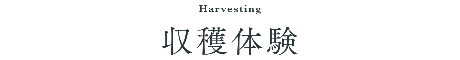 収穫体験